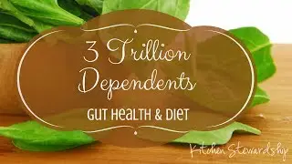 Paleo, Gut Health & Diet {KS Connect *Plus* 3rd edition}