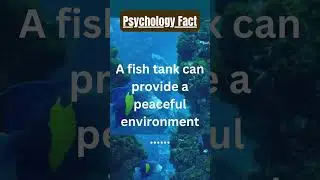 A fish tank can😜 |Psychology Facts 😜|Peaceful Mind 😃| Strong Mind😜 | Mental Healing 👀|Mid Mind😜