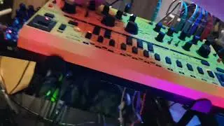 new theme. Tired legs bop bassline ;p # #edmfestival #psytrance #progtrance #trance #trancemusic
