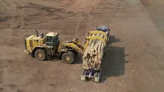 Log Yard in Idaho