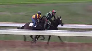 Flying Mascot - 20th April 2020 Track Gallop