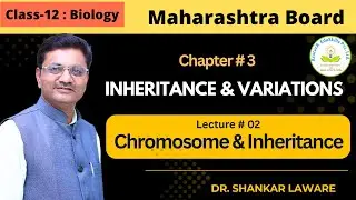 Inheritance & Variation | Lecture 2 | 12 Biology| Chromosome & inheritance | Dr Shankar Laware