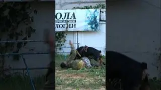 ‼️Police dog training. Rottweiler attack. #GUARDODESSA Security. Ukraine.