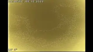 Les Schwab - Video 1