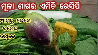 ମୂଳା ଶାଗରେ ଏକଦମ୍ ନୂଆ ରେସିପି ତିଆରି କରି ଭାତ ଓ ରୁଟି ସହିତ ଖାଆନ୍ତୁ❗RADISH RECIPE❗MULA SAGA RECIPE IN ODIA