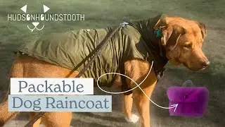Hudson Houndstooth Packable Dog Raincoat with Hood