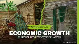 The Economic Benefits of Forest Protection in Tanzania - Ntakata Mountains.