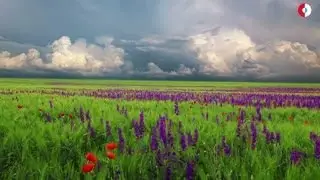 Krunoslav Kićo Slabinac - Inati se Slavonijo (Official lyrics video)