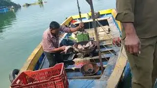 Fish Landing In Jeuripattan Society , Govindsagar Lake Bilaspur HImachal Pradesh