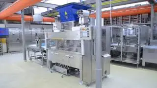 WP KEMPER PANE PUR - Kleinbrot, Grillkruste, 2-reihig