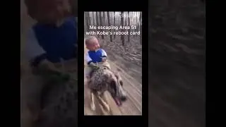 I&rsquo;m a big dog big bear