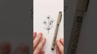 Five minute flower drawings ft Flax Flowers! #leaves #howtodrawflowers