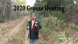 2020 Grouse Hunting in Maine