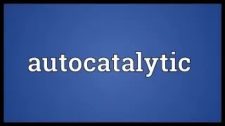 Autocatalytic Meaning