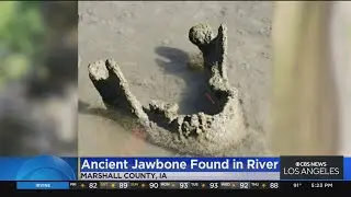 Conservationists find ancient jawbone in river in Iowa