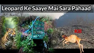 Leopard terror l गुलदार ने किया हमला आदमी पर