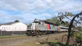 NJT 4202 Making a Quick Stop at Hammonton NJ