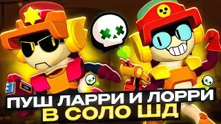 БС ЛАРІ І ЛОРІ