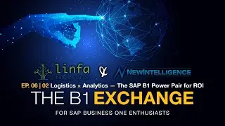 B1X EP. 06 | 02 - Logistics &times; Analytics &mdash; The SAP B1 Power Pair for ROI
