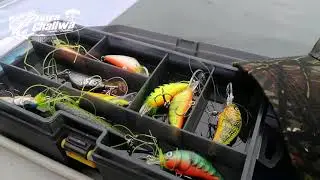 A los Chinook (Tolt&eacute;n Regi&oacute;n de la Araucan&iacute;a)
