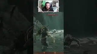 Its biggg! Giant Spider Boss Fight Hogwarts Legacy