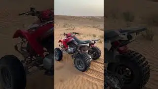 Quad bike driving in the UAE!