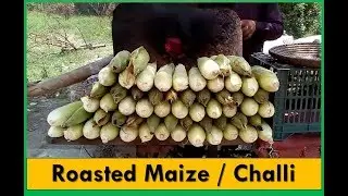 Roasted Challi / Maize Pakistani Street Food | Small Interview of Afghani Boy in Urdu