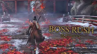 Sekiro - Testing the performance on PS5 Pro. (No Damage)