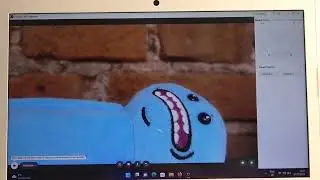 Insta 360 Link Webcam - How To Find Serial Number