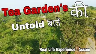 Tea Garden ki Batein 😮 || Real life Experience Assam 🔥