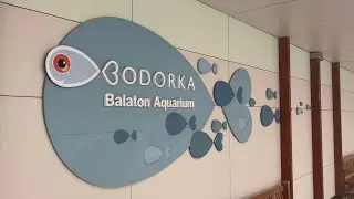 Bodorka - Balaton Aquarium