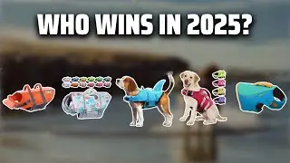 The Top 5 Best Dog Life Jacket in 2025 - Must Watch Before Buying!