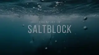 The Story of Saltblock | Diamond View