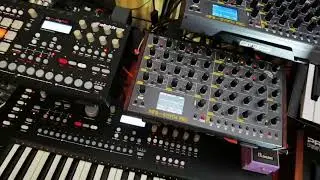MFB Synth Pro - saturday dual