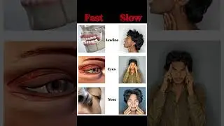 𝐅𝐚𝐬𝐭 𝐯𝐬 𝐒𝐥𝐨𝐰 - 𝐉𝐚𝐰𝐥𝐢𝐧𝐞, 𝐄𝐲𝐞𝐬 & 𝐍𝐨𝐬𝐞