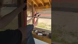 dual wielding Revolvers