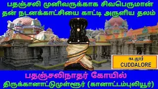 கானாட்டம்புலியூர் பதஞ்சலிநாதர் கோயில் கடலூர் /பதஞ்சலீஸ்வரர் /Kanattampuliyur Sivan Temple / கடலூர்