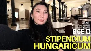 STIPENDIUM HUNGARICUM: бесплатное обучение в Будапеште в 2026-2027, мой личный путь и честный опыт