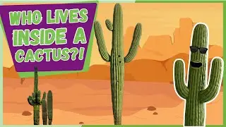The Cactus Hotel 🌵 | Desert Animals and Biome Song for Kids