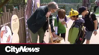 50 years of dedication to the animals at the Toronto Zoo