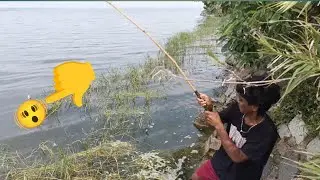 Village kutty pasanga fishing in bamboo stick in lake view #fishing #fishingequipment #fishinggear 