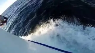 Dolphins Swimming with Boat