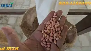 Peanut processing plant | MTR | Vibro Classifier | DE-STONER