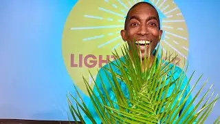 Lighthouse Kids | It's PALM SUNDAY!