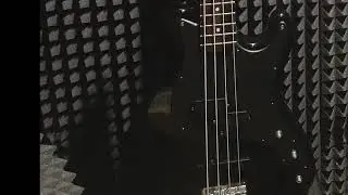 Cort Bass pickups vs Dimarzio