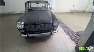 FIAT 1100 D - 06/1963