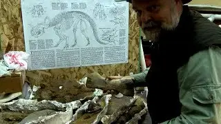 Buddy Davis Shows off the Dinosaur Bones He Found in Montana