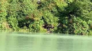 2025 Alaska Float Plane Trip