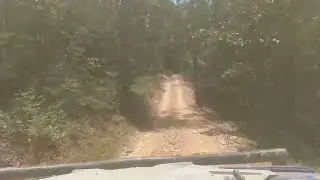 Fourche Mountain to Wolfpen Gap 25 June 23