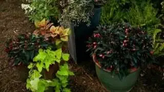 Torch Light Container - Burpee Garden Projects